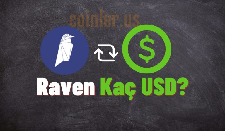 Ravencoin (Rvn) Kaç Dolar?